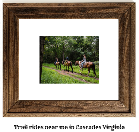 trail rides near me in Cascades, Virginia